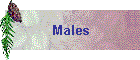 Males